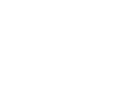 Mastermind Trendz